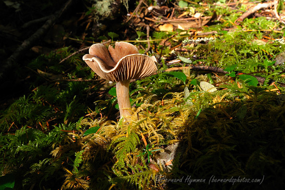 D300_57109