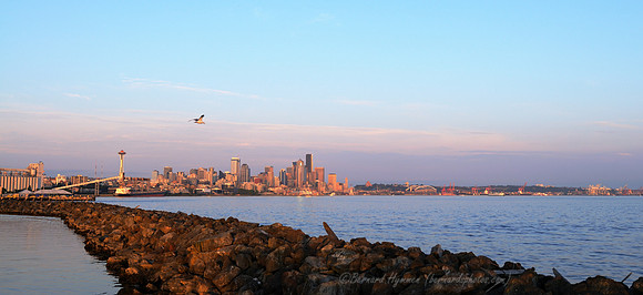 D300_72474