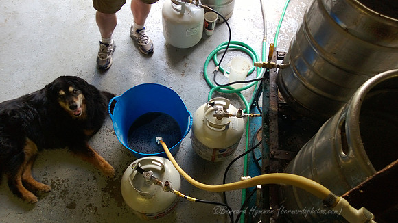 WP_20130704_015