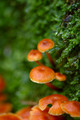 D70_12342