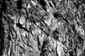 D300_146517