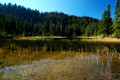 D70_12520