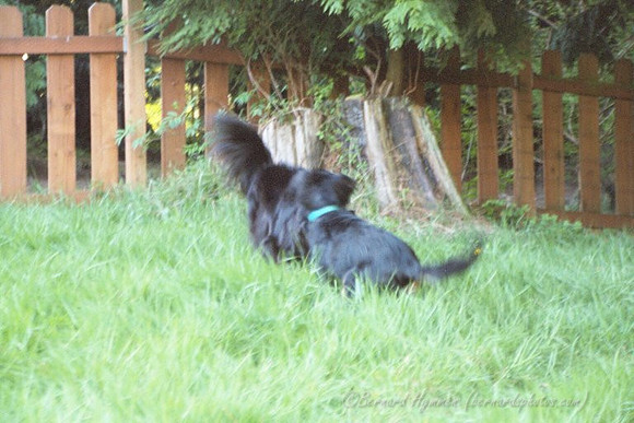 9QUV_034.JPG