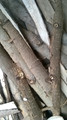 WP_20140719_022