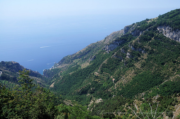D300_134598