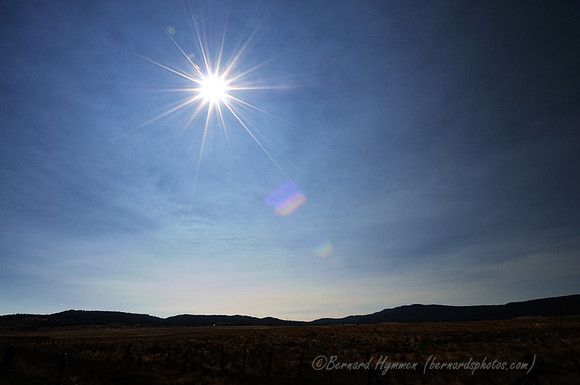 D300_136895