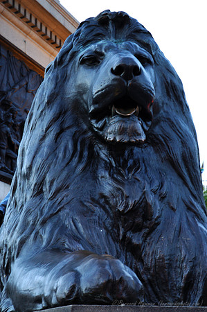 D70_047442004-08-16_01
