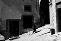 D300_135542