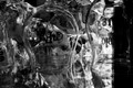 D300_102270