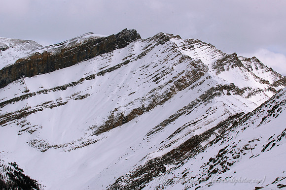 D70_21188