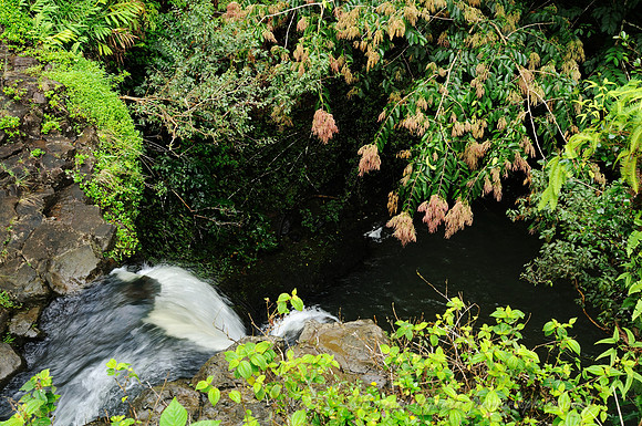 D300_125499