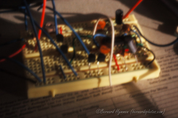 D70_20461