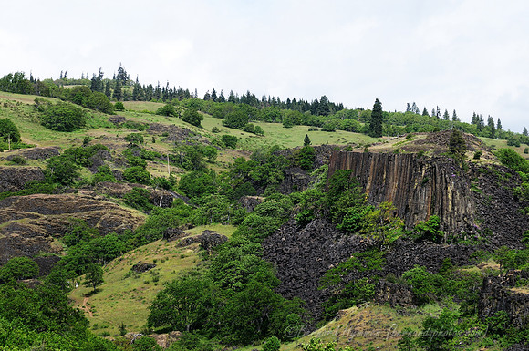 D300_96233