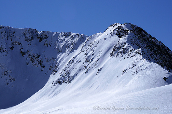 D300_69275