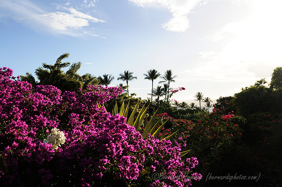 D300_124983