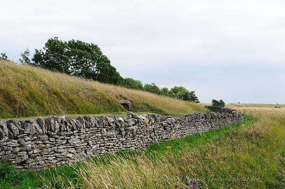 D300_99059