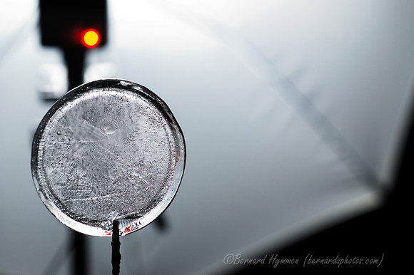 D70_21279
