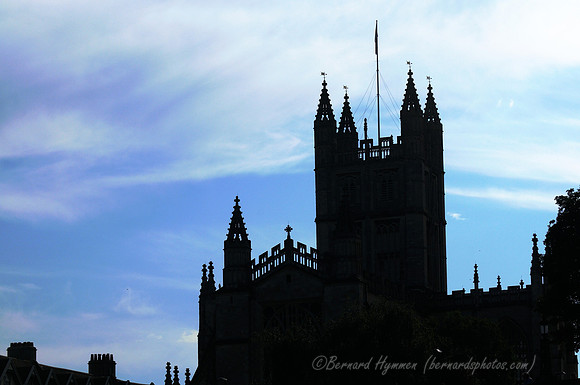 D300_100254