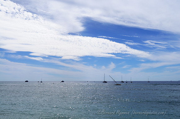 D300_58161