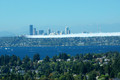 D70_11434