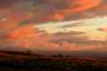 D300_149307