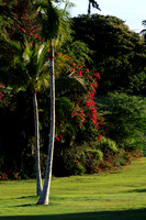 Road to Hana