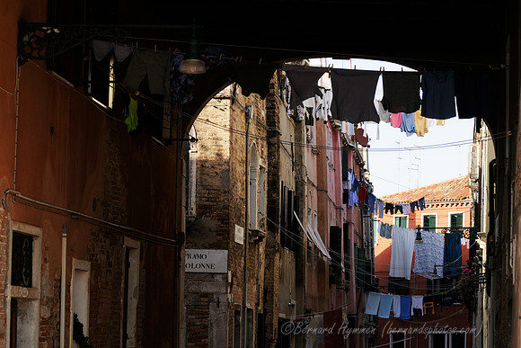 D300_44924.jpg