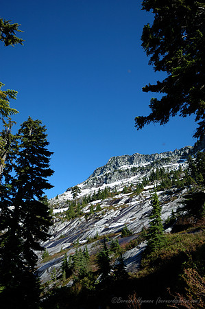 D70_23222