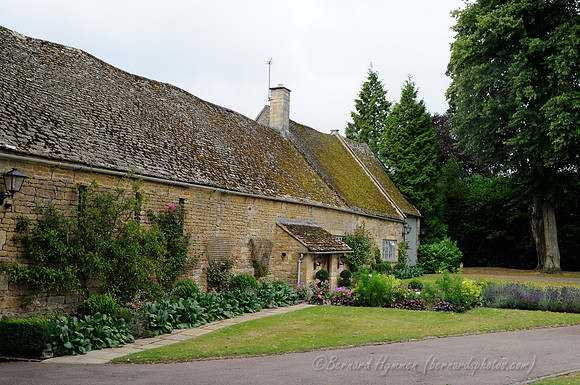 D300_99611