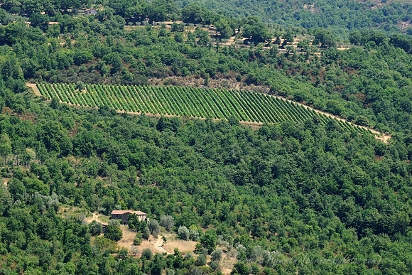 D300_135853