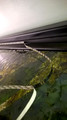 WP_20141212_02_03_12_Pro 1