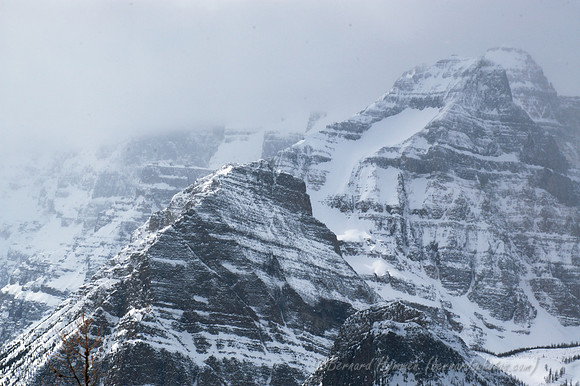 D70_21171