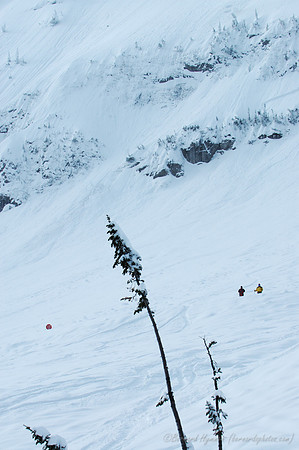 D70_20921.jpg