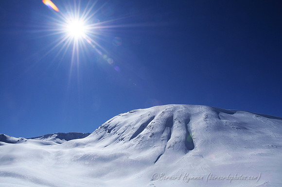 D300_69283
