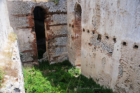 D300_135339
