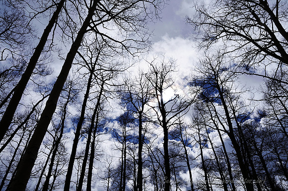 D300_120037