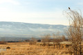 D300_59386