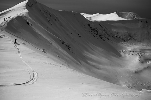 D300_69700