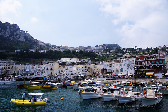 D300_135282