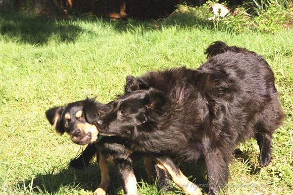 9QUV_011.JPG