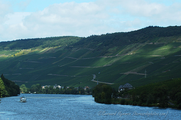 D70_17821