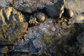 D300_58748