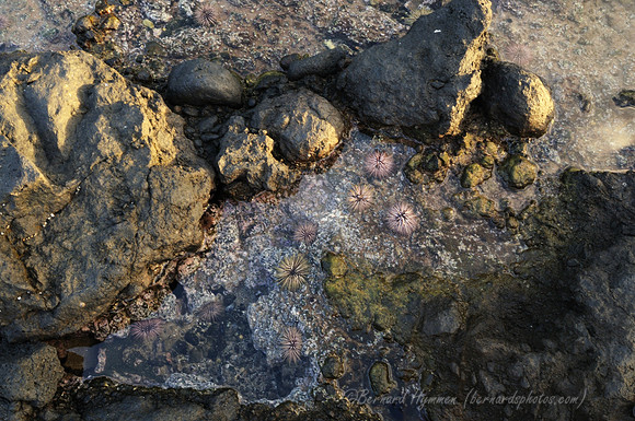 D300_58748