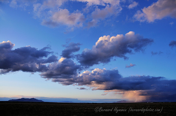 D300_141585
