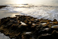 D300_58361