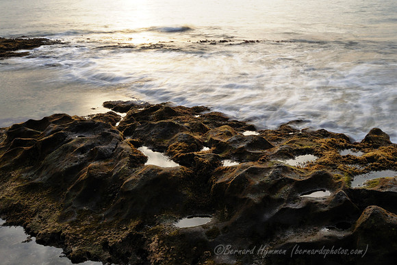 D300_58361
