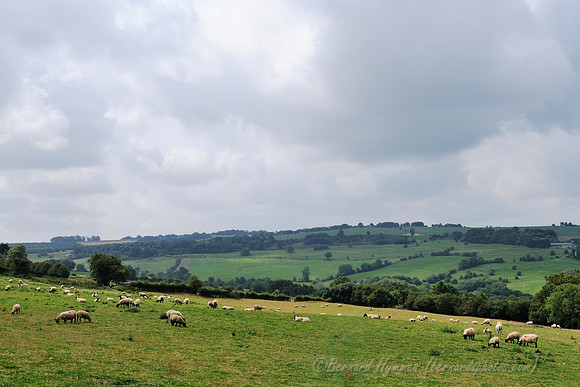 D300_99180