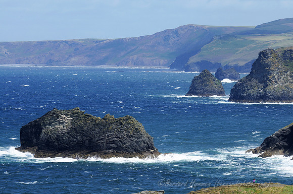 D300_100922