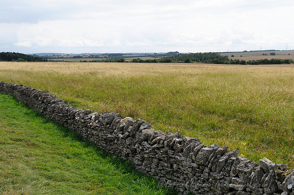 D300_99061