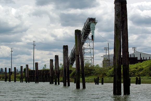 D70_00425